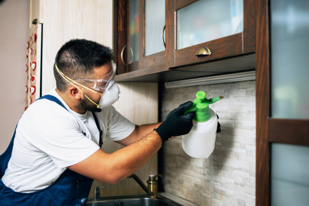 Ocean Grove, MA Pest Control Company