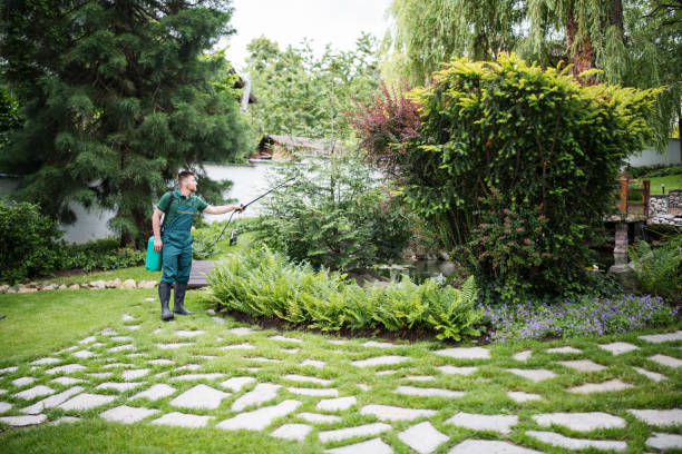 Best Exterminator Services  in Ocean Grove, MA