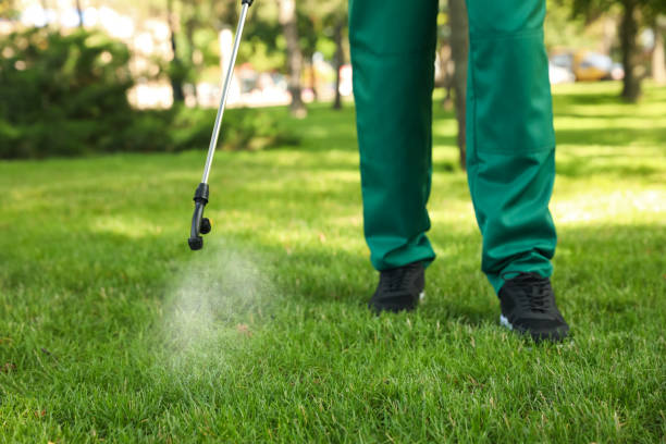 Pest Control Cost in Ocean Grove, MA