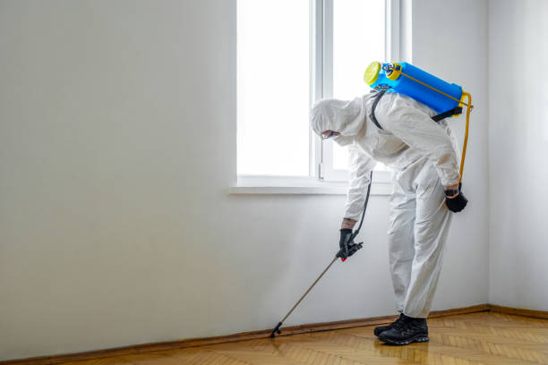 Insect Control in Ocean Grove, MA