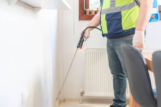 Best Pest Control Near Me in Ocean Grove, MA