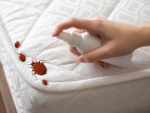 Best Local Pest Control Services  in Ocean Grove, MA