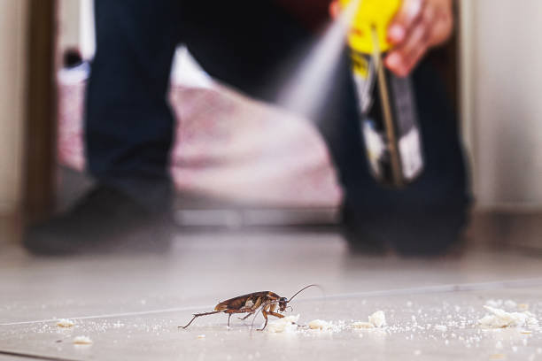 Best Pest Removal Services  in Ocean Grove, MA