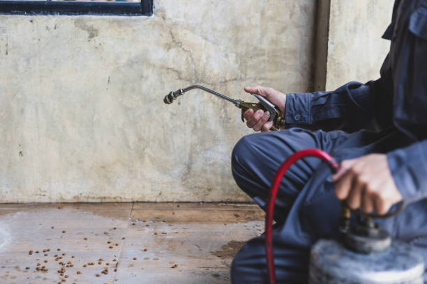 Best Pest Control Treatment  in Ocean Grove, MA
